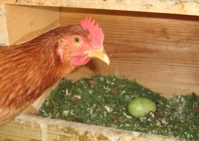 ZZZZXPB_NestEgg3.jpg