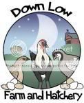 20369_20369_20369_downlowshrankcopy.jpg