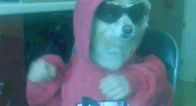 Party-Hard-Dog-Dance-Gif-.gif