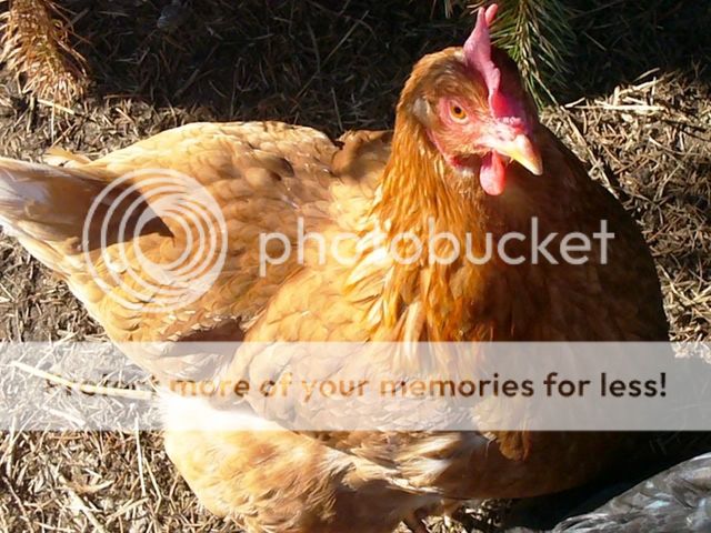 March1607016.jpg
