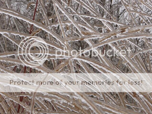Ice027.jpg