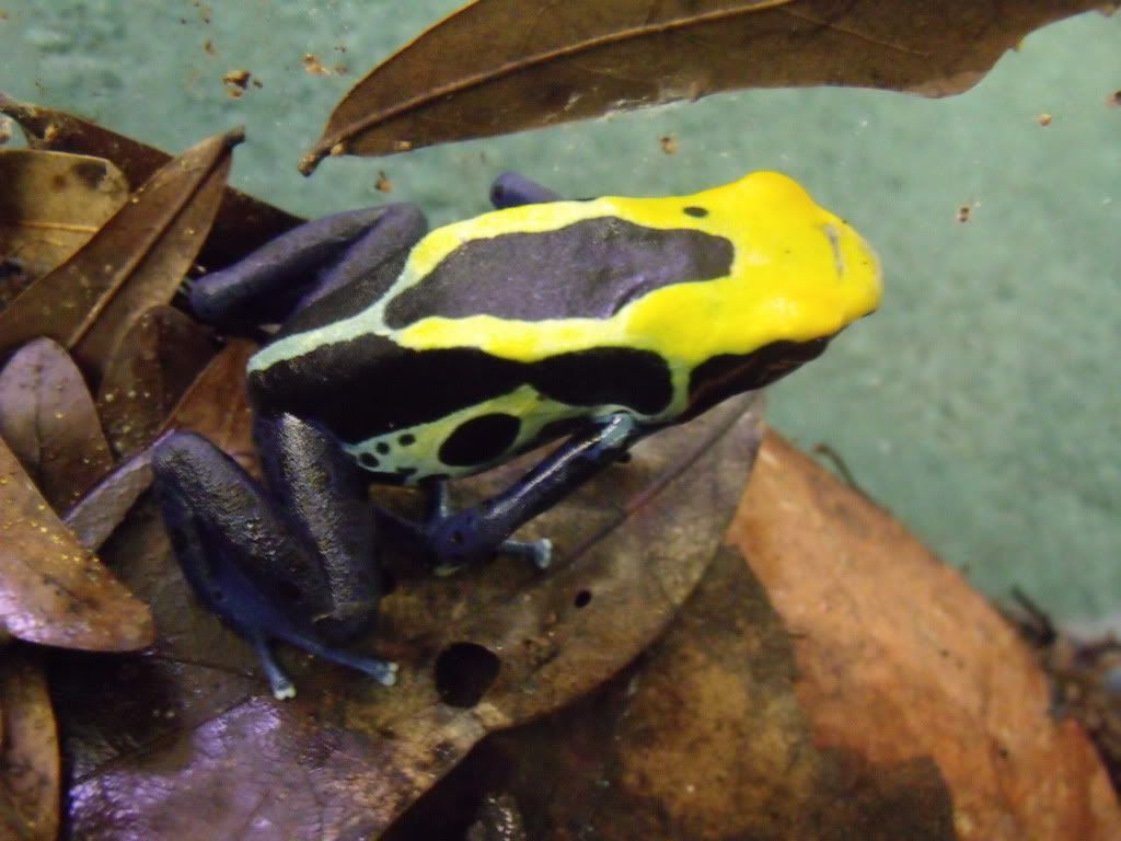 2011_0331newstuff0015.jpg