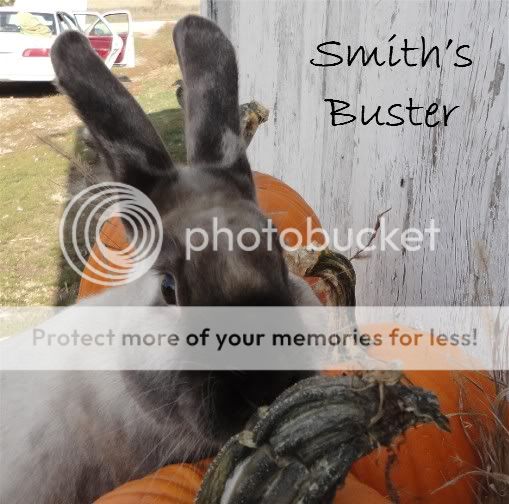 SmithsBusterFace.jpg