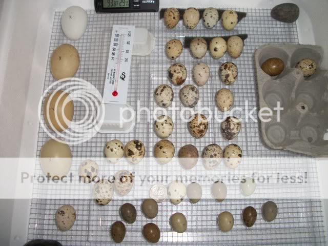100_5645.jpg
