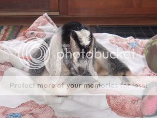 babykids067.jpg
