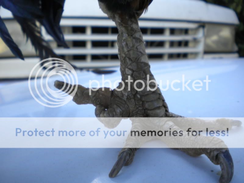 DSCN5213.jpg