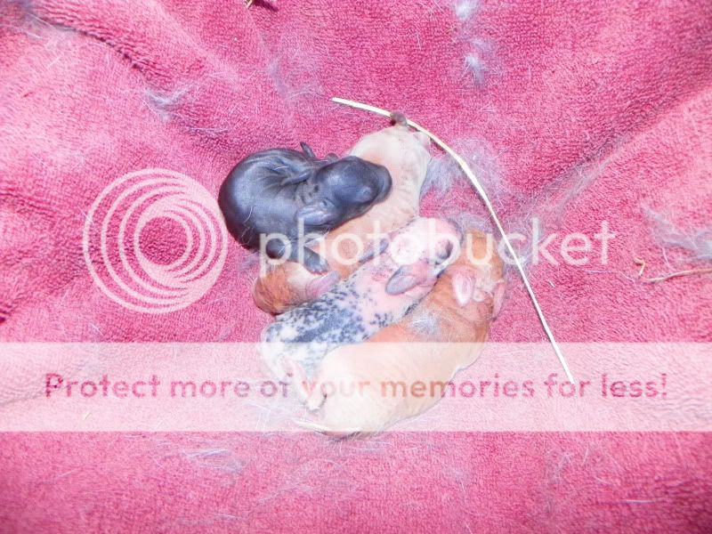 100_1073.jpg