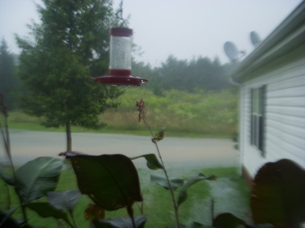 DSCN3782.jpg