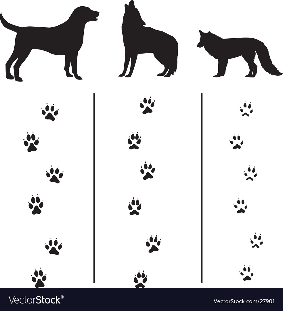 canine-tracks-and-silhouettes-vector.jpg