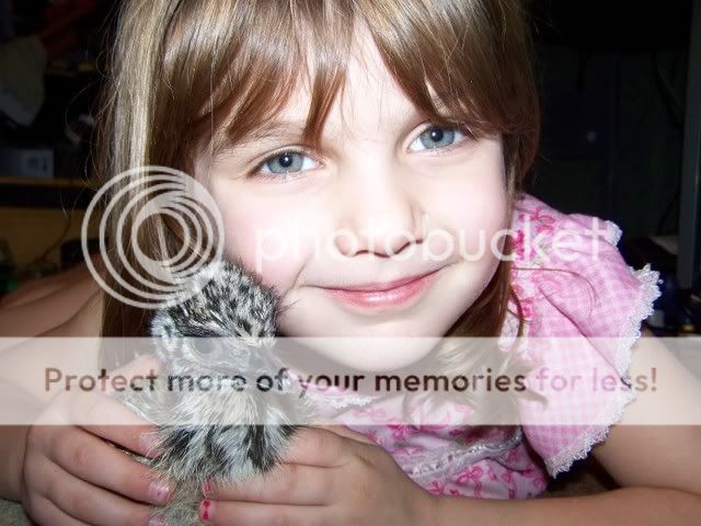 emu.jpg