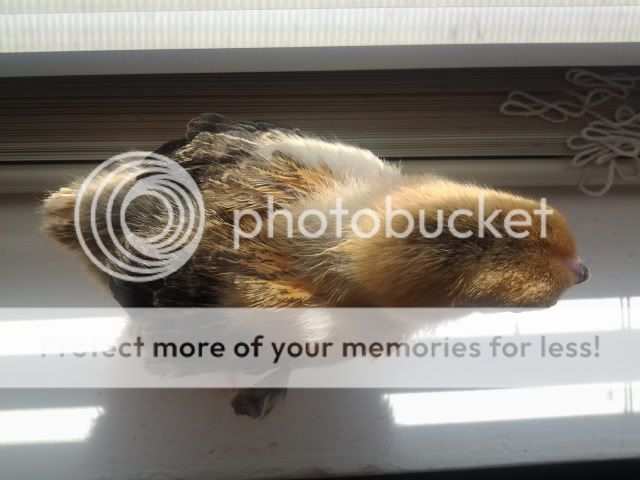 2011-05-10095819.jpg