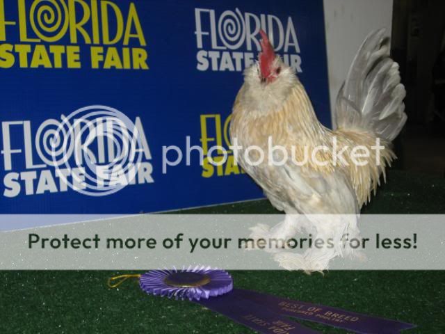 IMG_1568.jpg