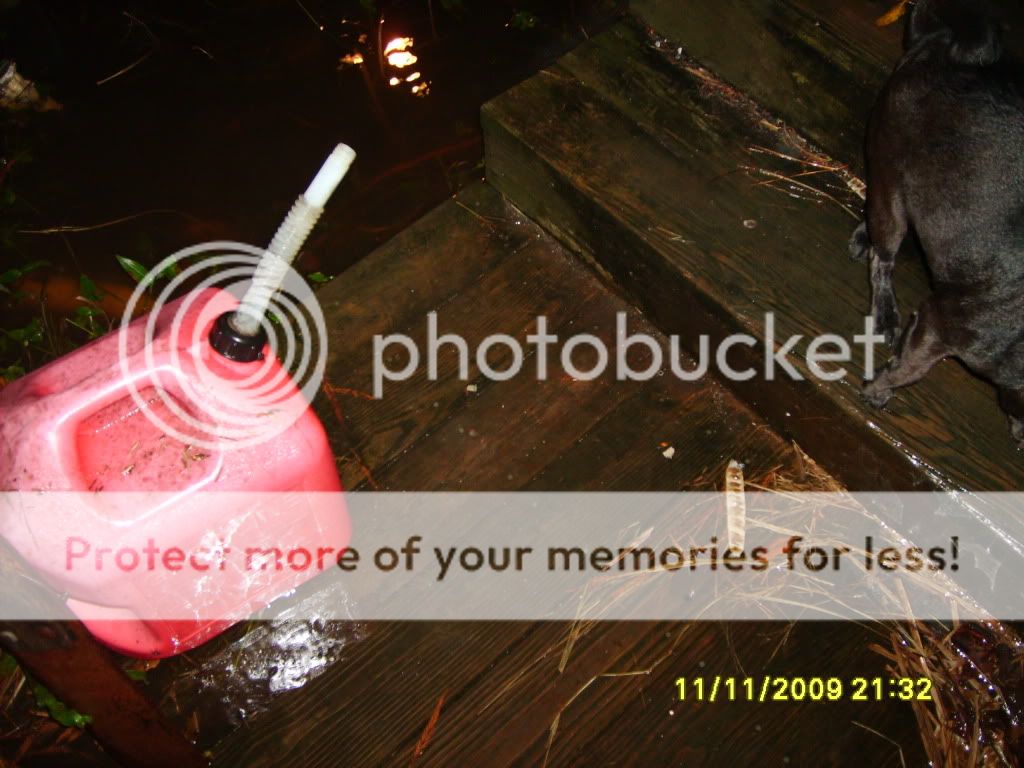 flood018.jpg