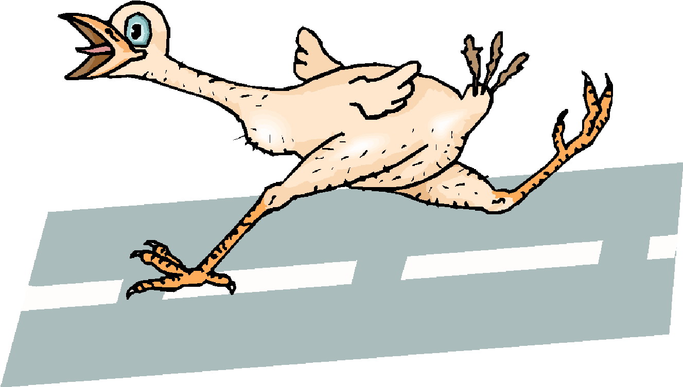 clip-art-chickens-365208.jpg
