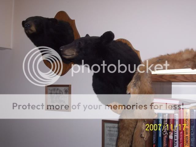 100_4028.jpg