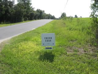 IMG_1191.jpg
