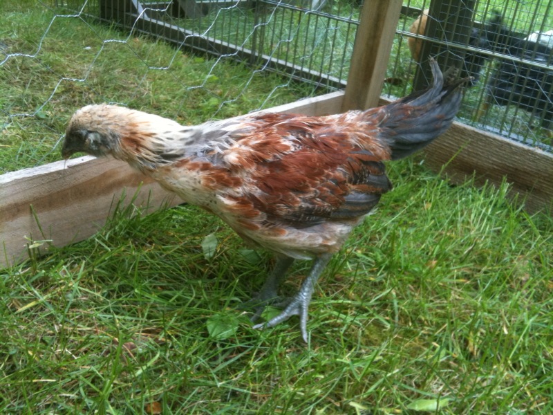 photo-14.jpg