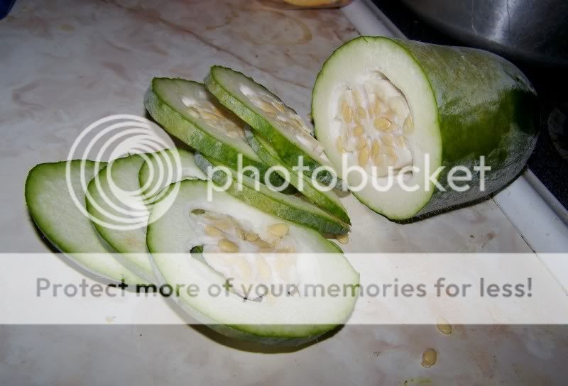 fmelon2.jpg