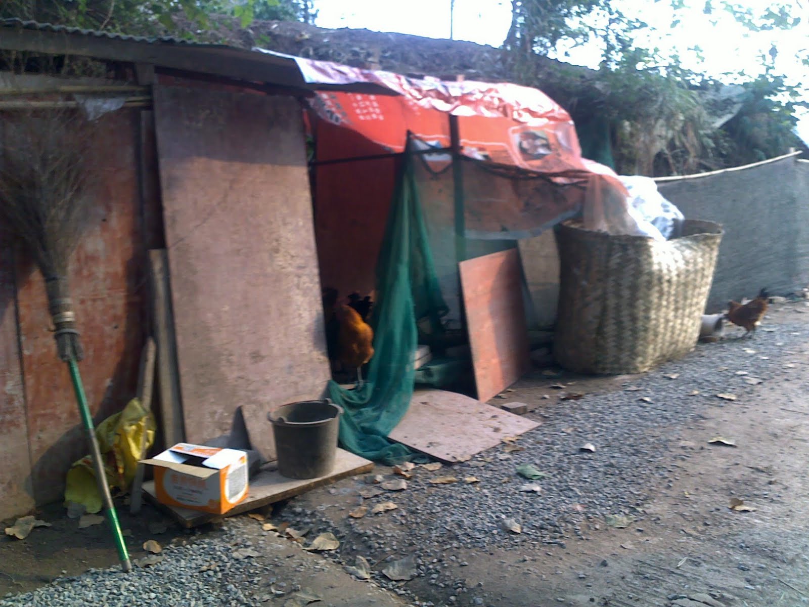 11242009157.jpg