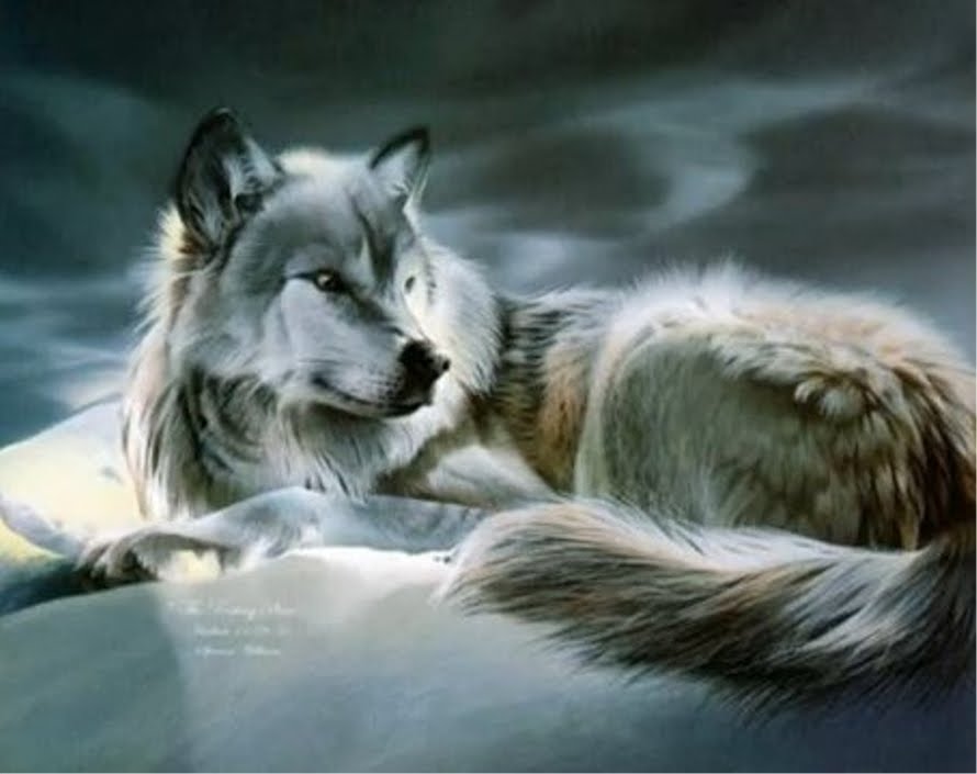 wolf%2Bimage.jpg