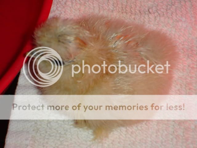May2009044.jpg