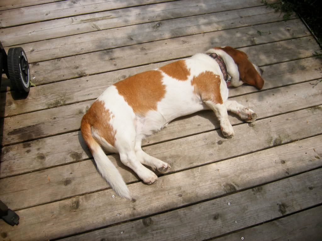 DSCF1491.jpg