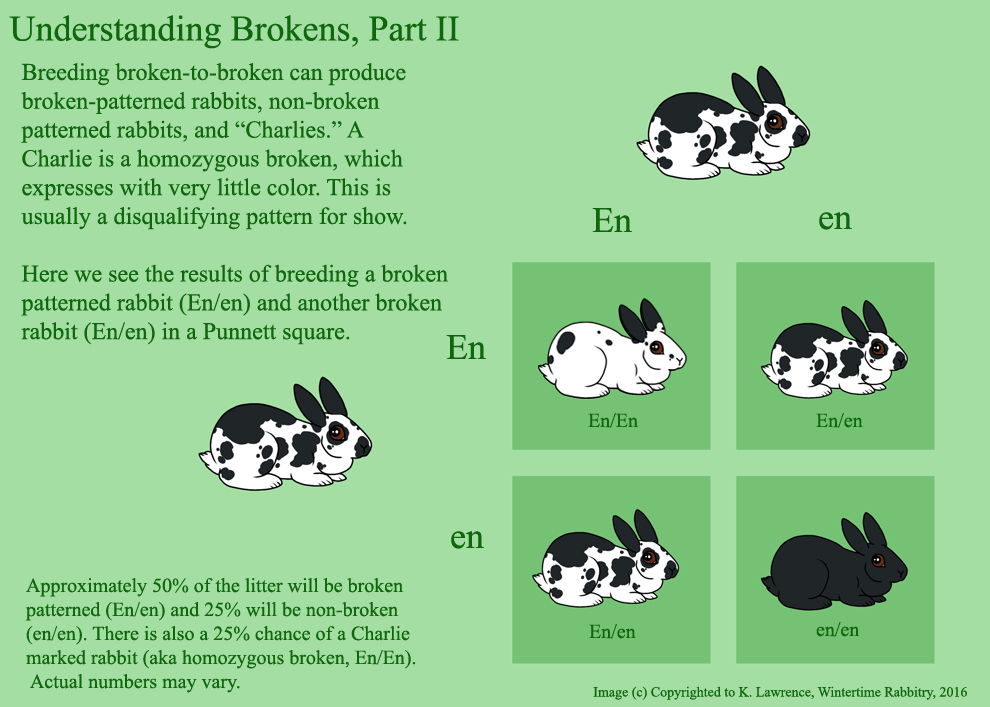 brokens-002.jpg