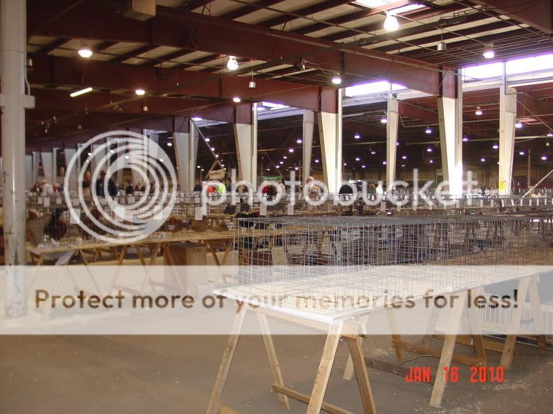 ABANational2010007.jpg