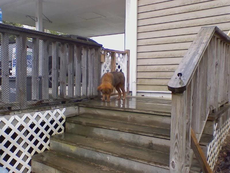 downsized_0420001854.jpg