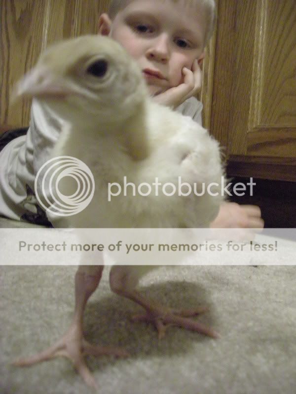 DSCN4942.jpg
