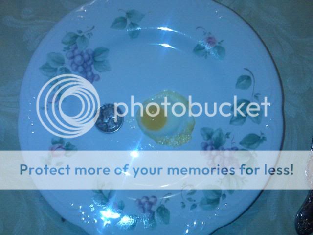 IMG00364.jpg
