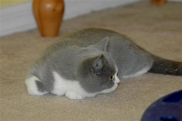 DSC_0150LargeSmall.jpg