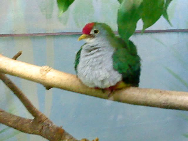 DSC08397.jpg