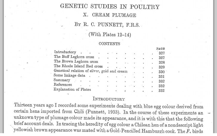 3f5d452b_BlueEggshellGene2.jpeg