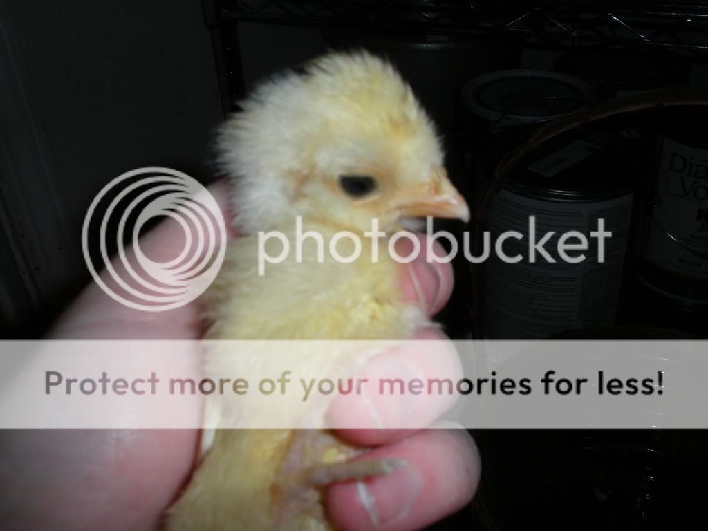 DSCN2139.jpg