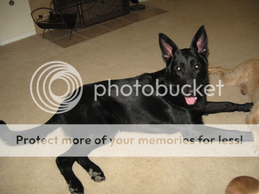 mason005.jpg