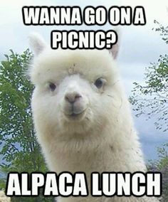 32866c73aca7ae18d9290c4a14ec7563.jpg