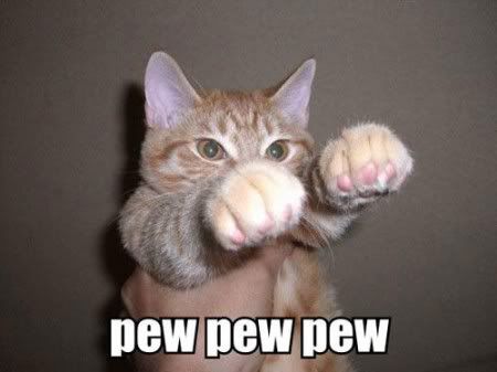 lolcatsdotcomclrru77b0nle3vmx.jpg