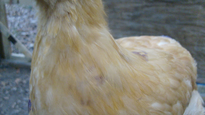 S6304460.JPG