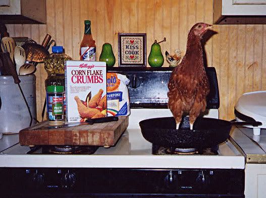 MarysChicken.jpg