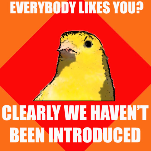 tumblr_lugnmm6BOY1r5vskbo1_r2_500.jpg