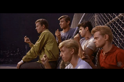 tumblr_luesoclg0B1qz6f9yo1_r3_500.gif