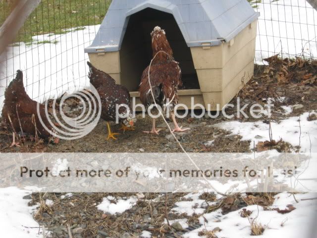 IMG_0162.jpg