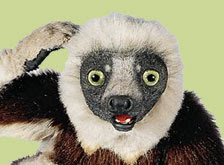 zoboomafoo.jpg