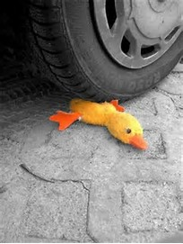 120x120px-LS-24780faa_duck.png