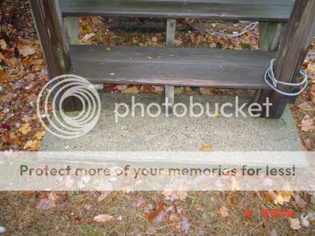 DSC06353.jpg