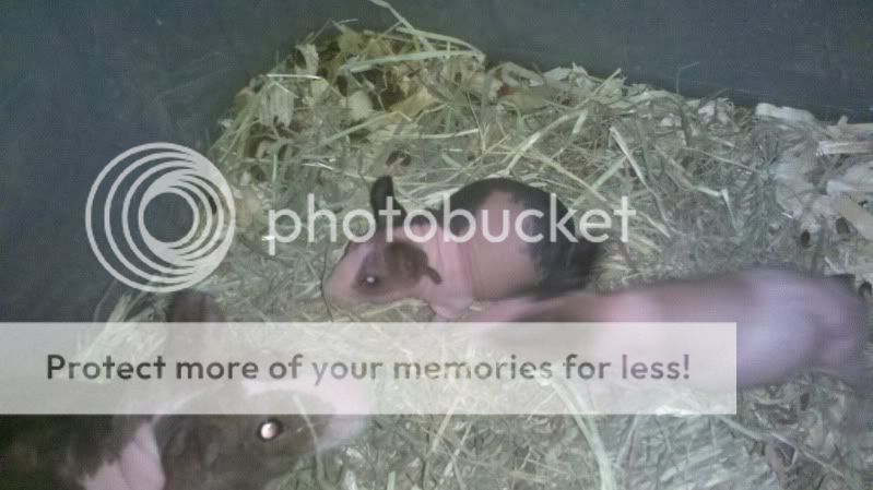 2011-12-27_16-53-59_350.jpg
