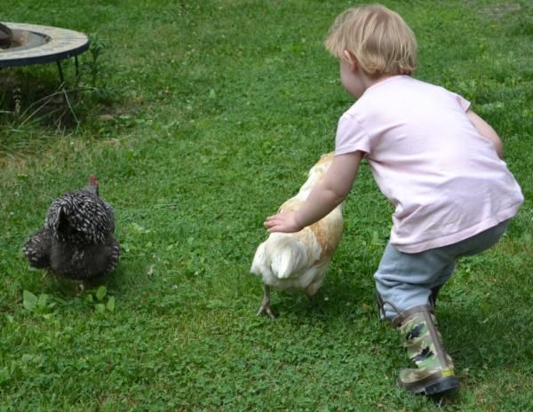 28kidswithchickens.jpg