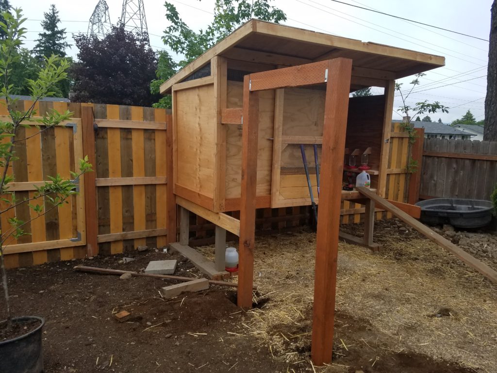 20190521_181355-1024x768.jpg