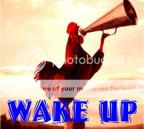 Wakeupcockerel-1.jpg